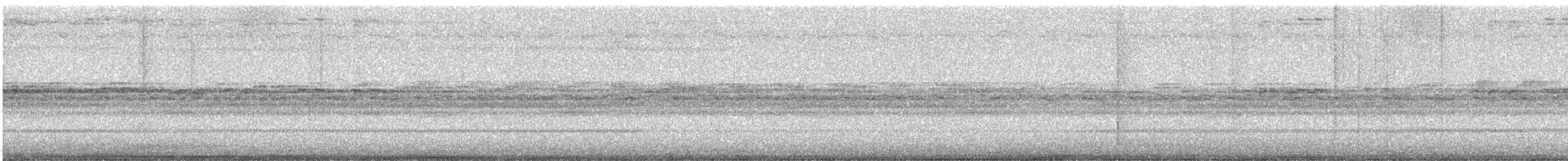 Tyran quiquivi - ML646913031