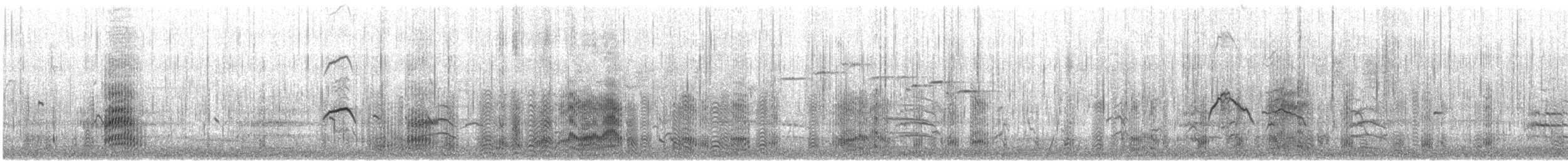 Silver Gull (Silver) - ML646913139