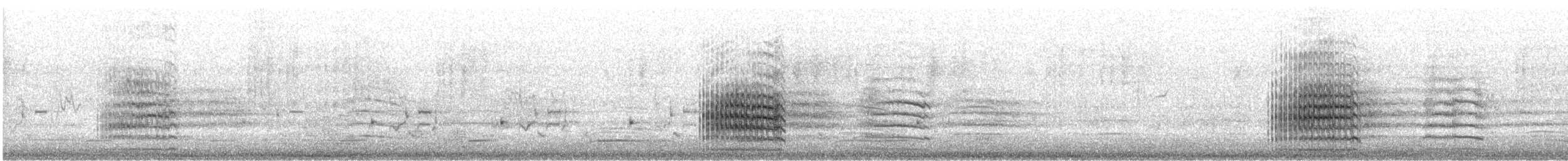 Red-tailed Black-Cockatoo - ML646913214