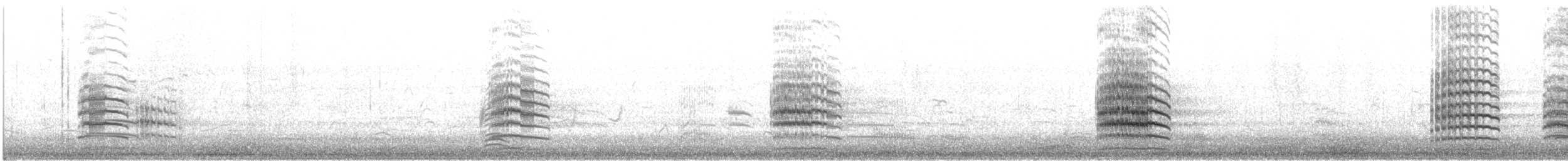 Red-tailed Black-Cockatoo - ML646913215