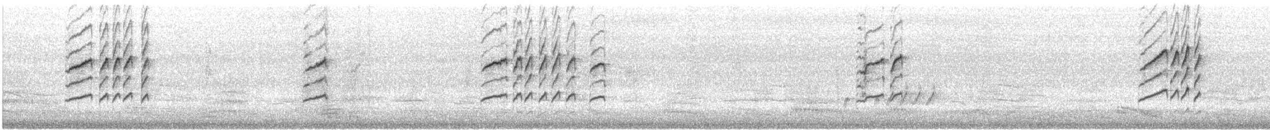 Silvereye - ML646913229