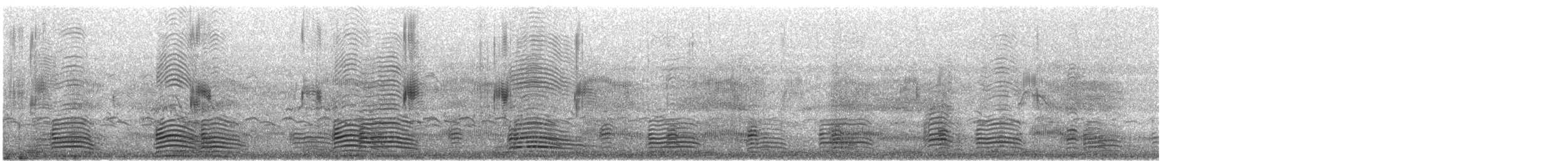 Australian Shelduck - ML646913245