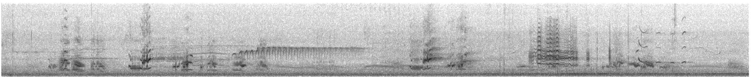 Regent Parrot - ML646913285