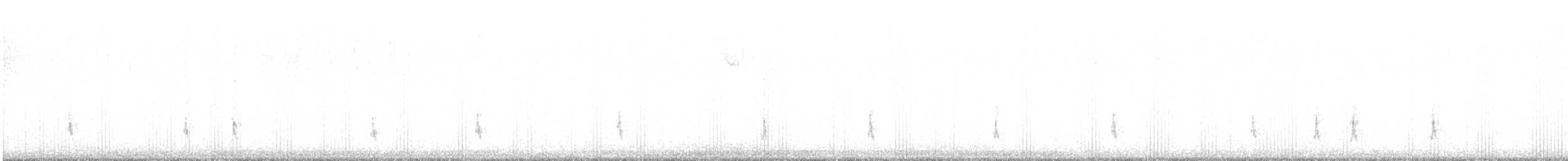 Hermit Thrush - ML646913792