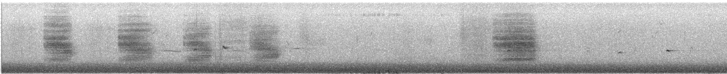 Steller's Jay (Southwest Interior) - ML646913846