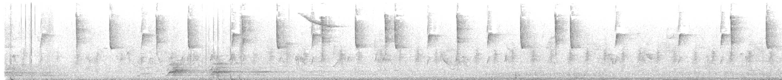 Mexican Violetear - ML646913854