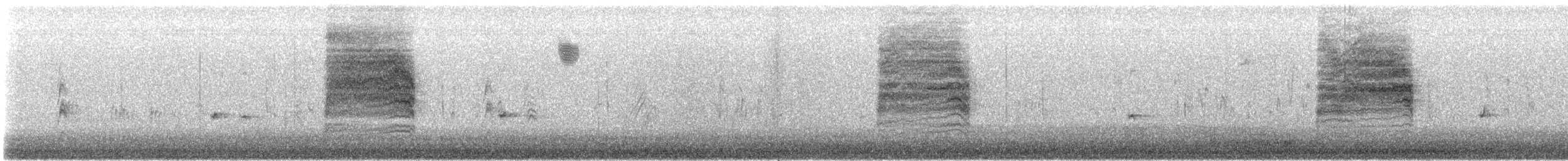 Northern House Wren - ML646913872