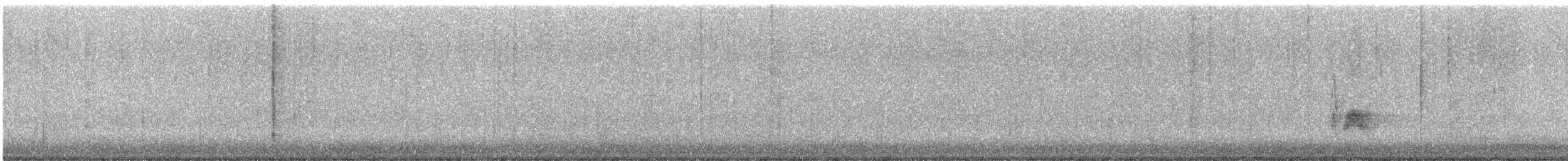 Cassin's Kingbird - ML646913899