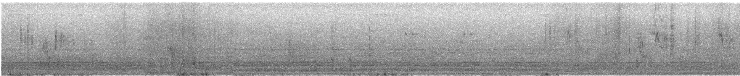 American Robin - ML646913912