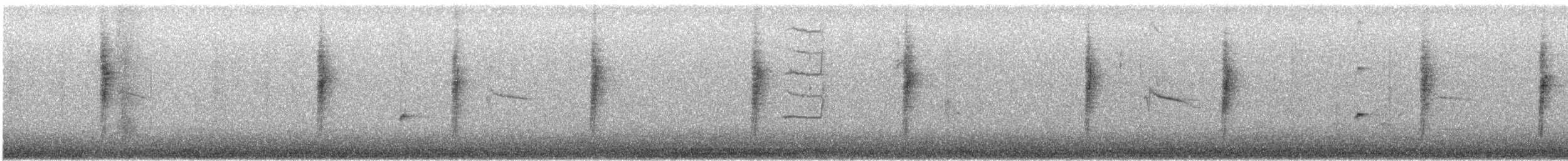 Bewick's Wren - ML646913933