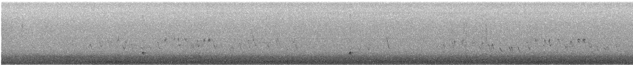 Ash-throated Flycatcher - ML646913988