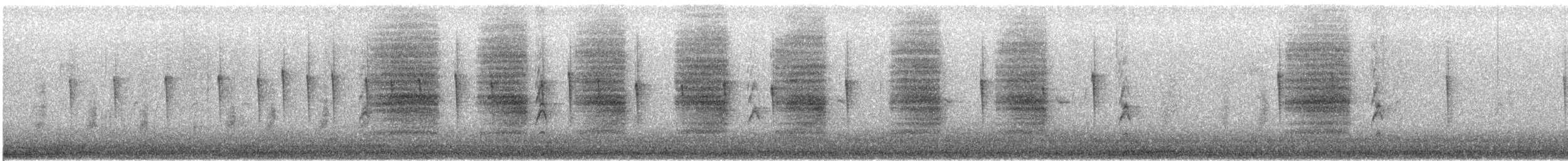 Steller's Jay (Southwest Interior) - ML646914026