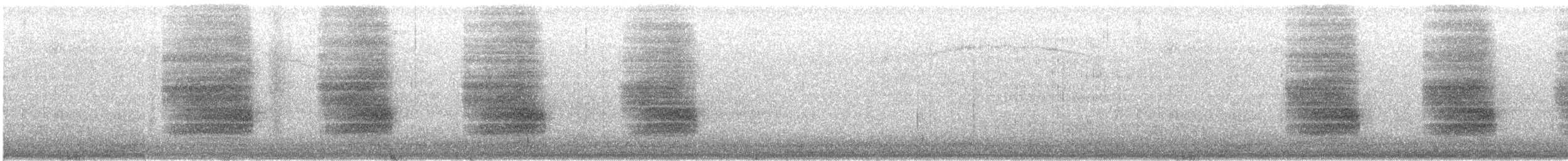 Steller's Jay (Southwest Interior) - ML646914040