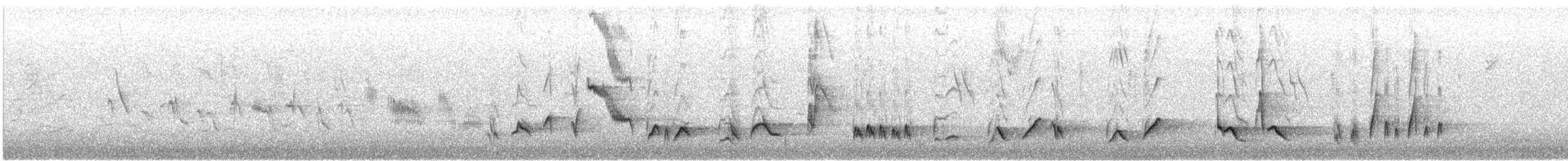 Curve-billed Thrasher - ML646914060