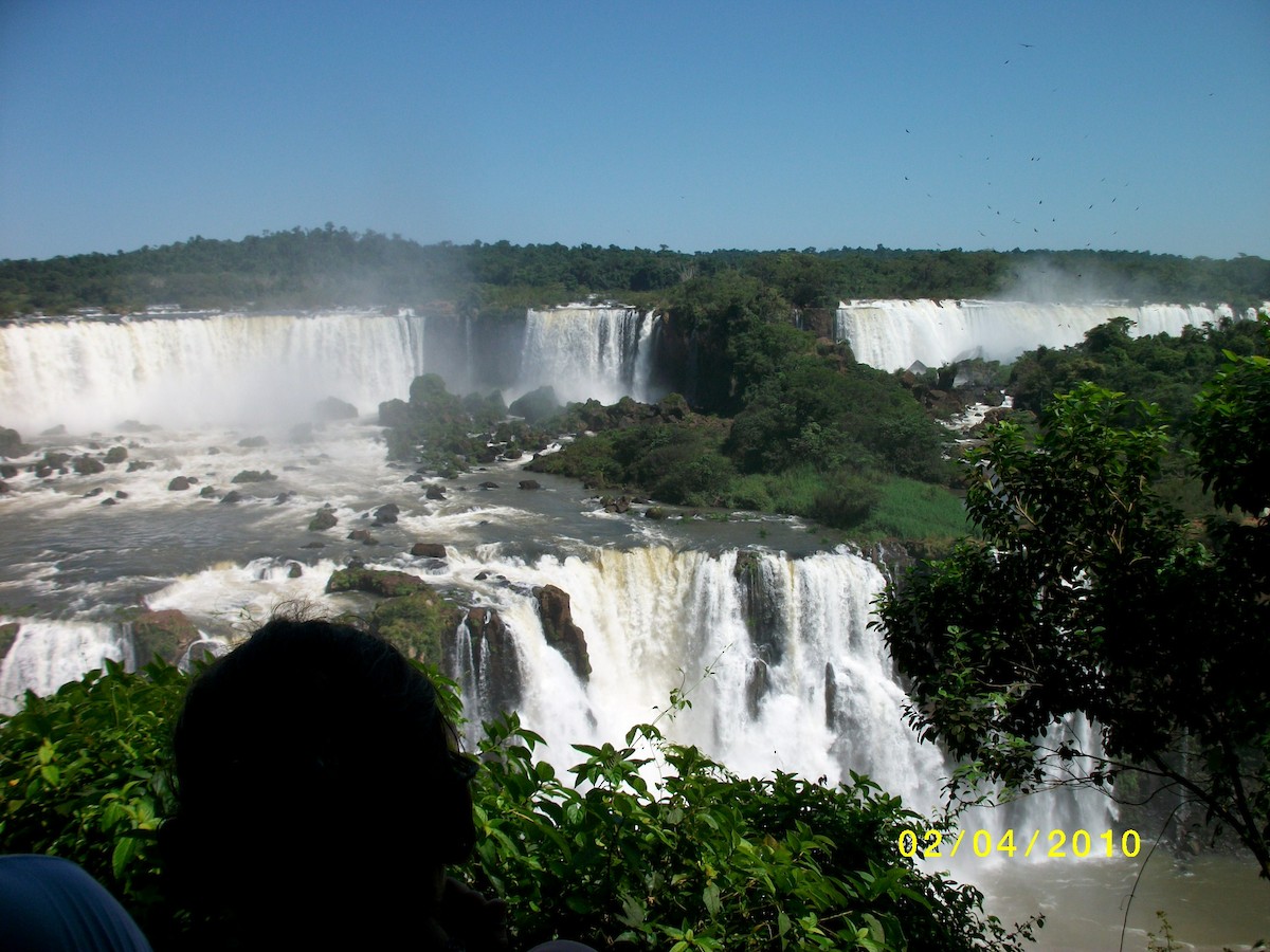 kalkunkondor - ML646914283