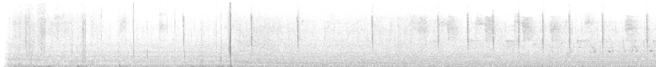 Rufous-tailed Hummingbird - ML646914314