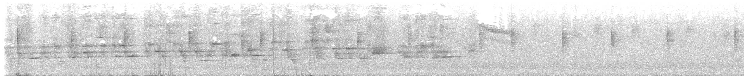 MacGillivray's Warbler - ML646914726