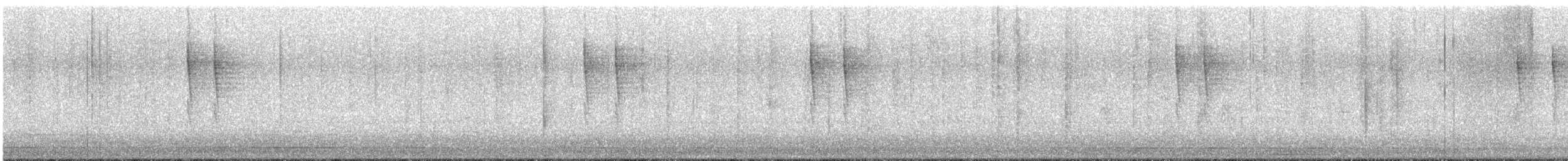 Pacific Wren - ML646914776