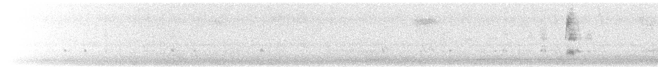 Красноносый нырок - ML646914825