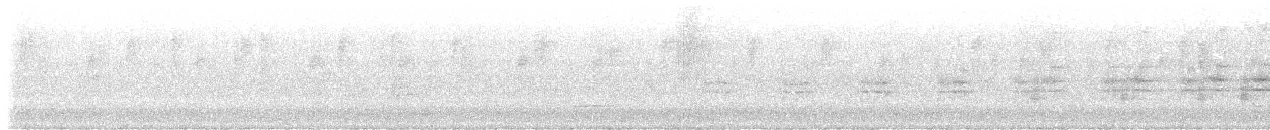 tøylesolitærtrost - ML646914871