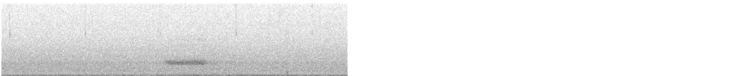 Effraie d'Amérique - ML646916853