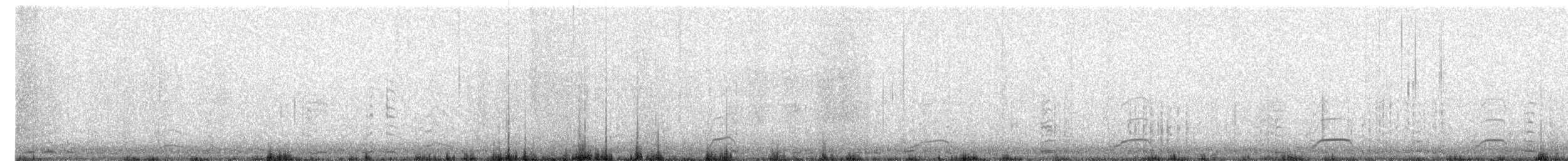 Cygne siffleur - ML646917134