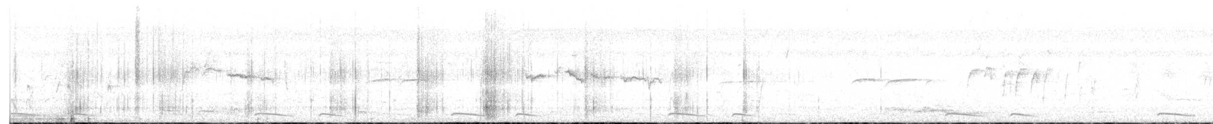 Todirostre familier - ML646917177