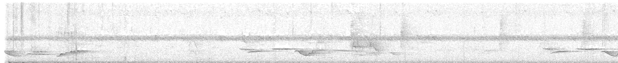 Shama à croupion blanc - ML646917249