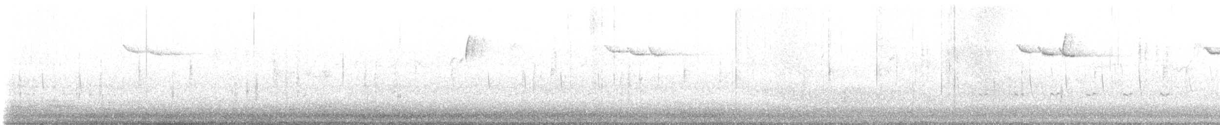 ציפור שיר בלתי-מזוהה - ML646918649