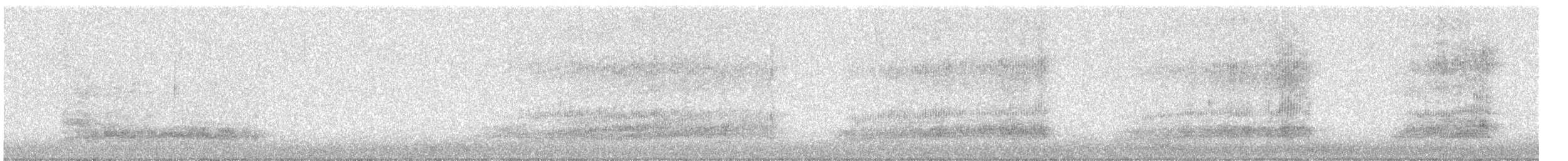 Effraie des clochers - ML646919209