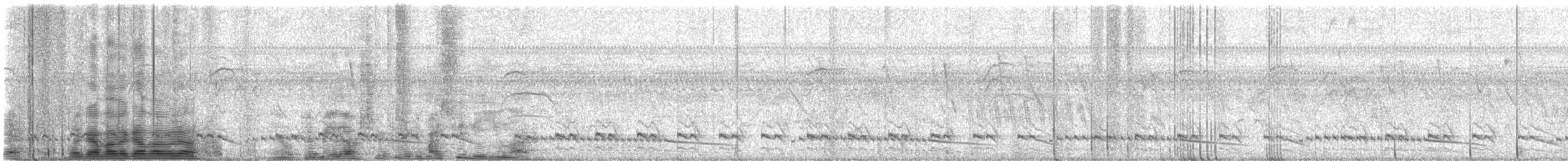 Râle plombé - ML646920017