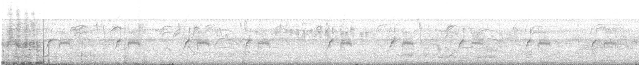 ムナジロオナガカマドドリ - ML646920147