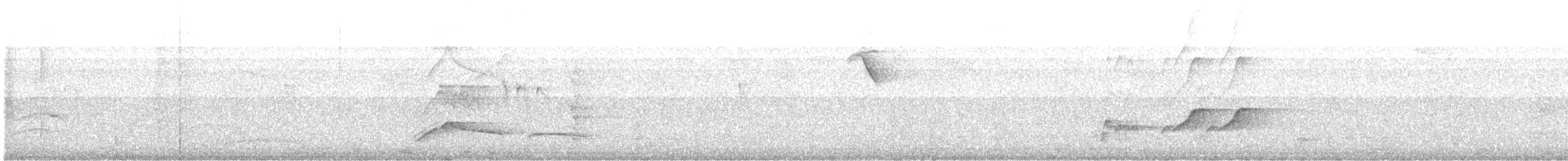 Manakin casqué - ML646920171