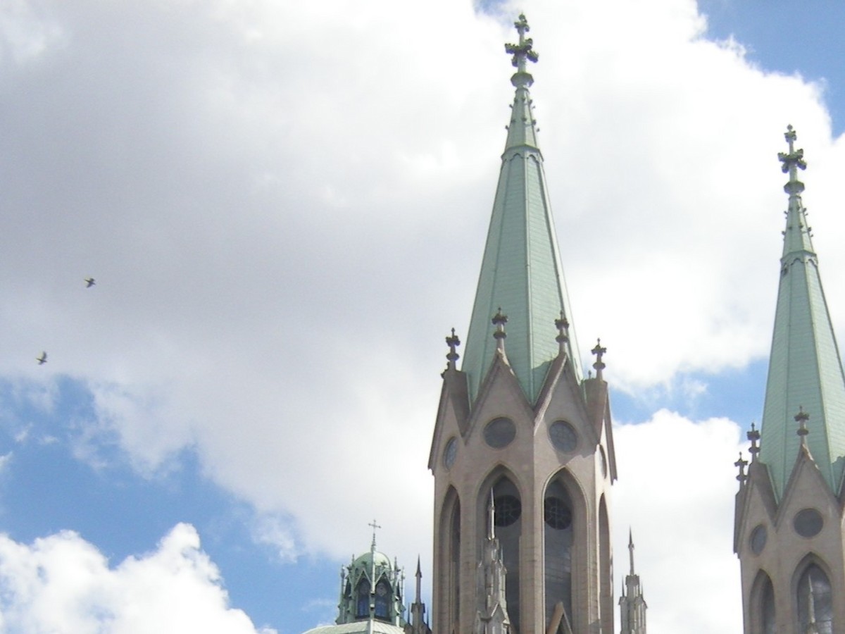 Eguneko harraparia sp. - ML646921348