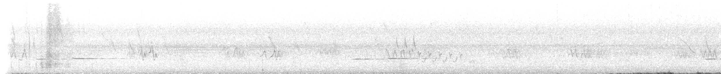 Çizgili Guguk - ML646922823