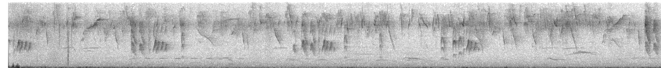 Tyranneau souris - ML646924073