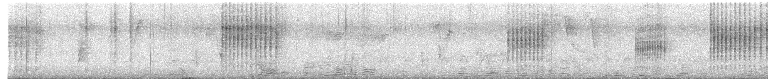 Troglodyte des halliers - ML646924120