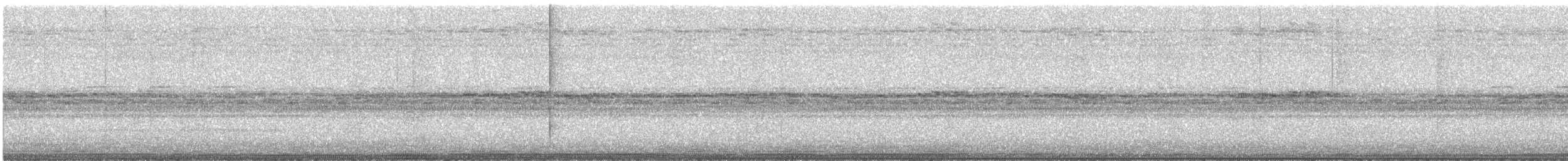 Social Flycatcher - ML646926519