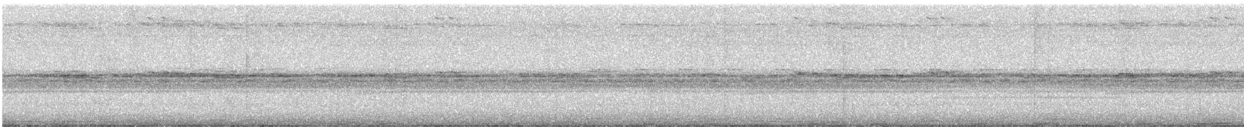 Social Flycatcher - ML646926520