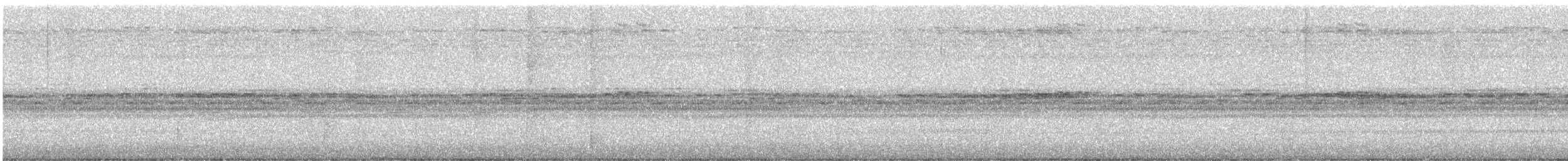 Social Flycatcher - ML646926521