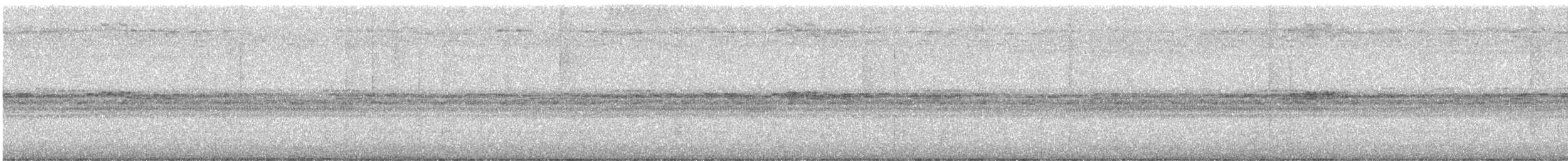 Social Flycatcher - ML646926522