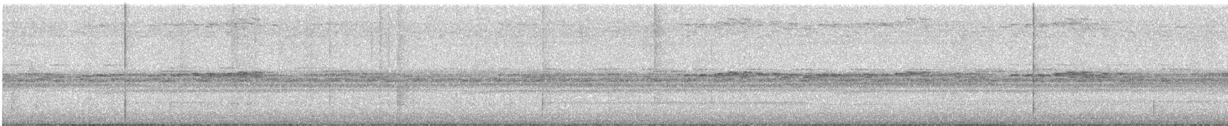 Social Flycatcher - ML646926523