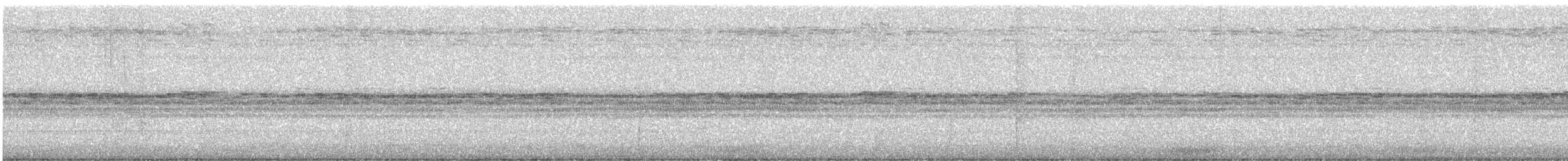 Social Flycatcher - ML646926524