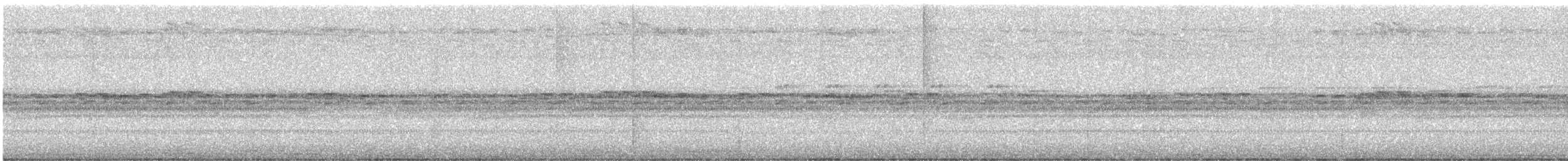 Social Flycatcher - ML646926525