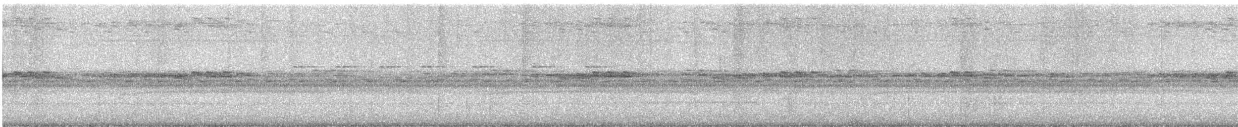 Пісняр горихвістковий - ML646926566