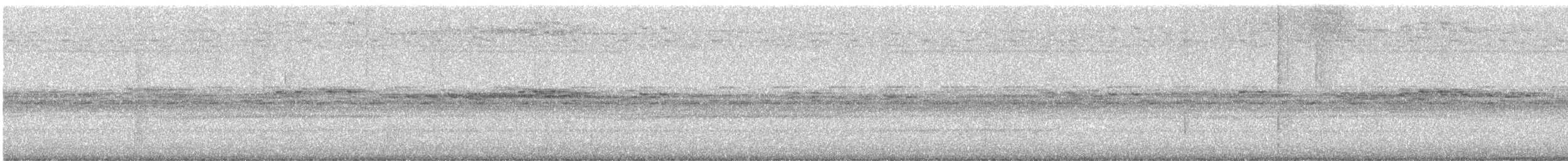 Пісняр горихвістковий - ML646926569