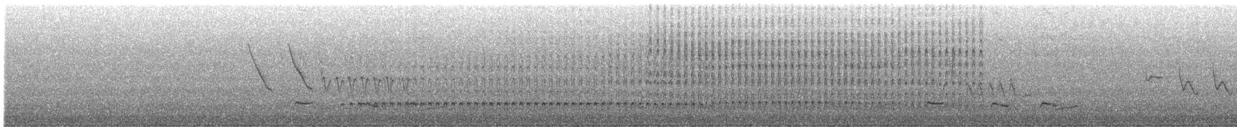 Atuen Antpitta - ML646926885