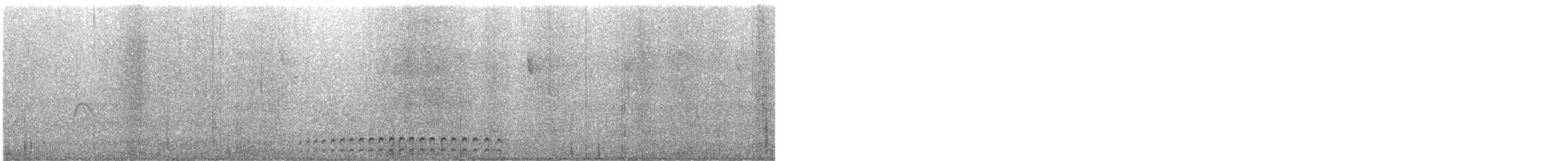 Utcubamba Tapaculo - ML646927083