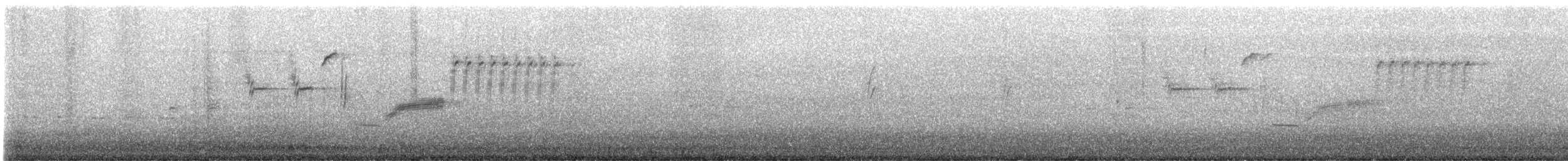 Troglodyte de Bewick - ML646927740