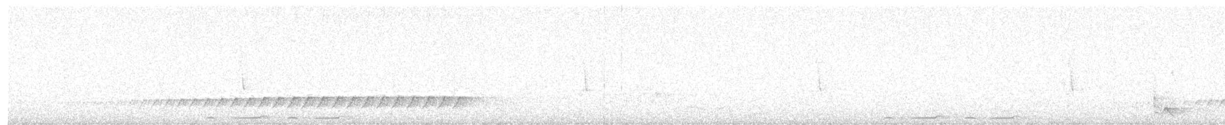 Shining Flycatcher - ML646927818